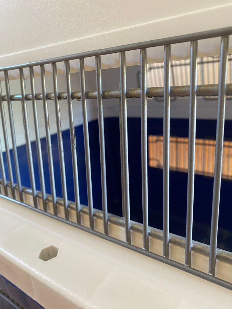 バリケンネルXL ひんやりすのこ・ステンレス食器付き