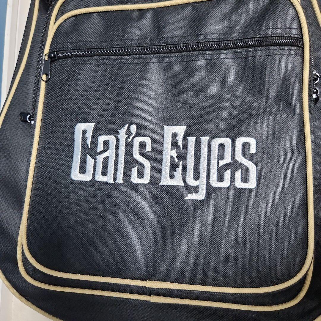 【未使用品】 キャッツアイ アコースティック・ギター カバー付き CE55T-K