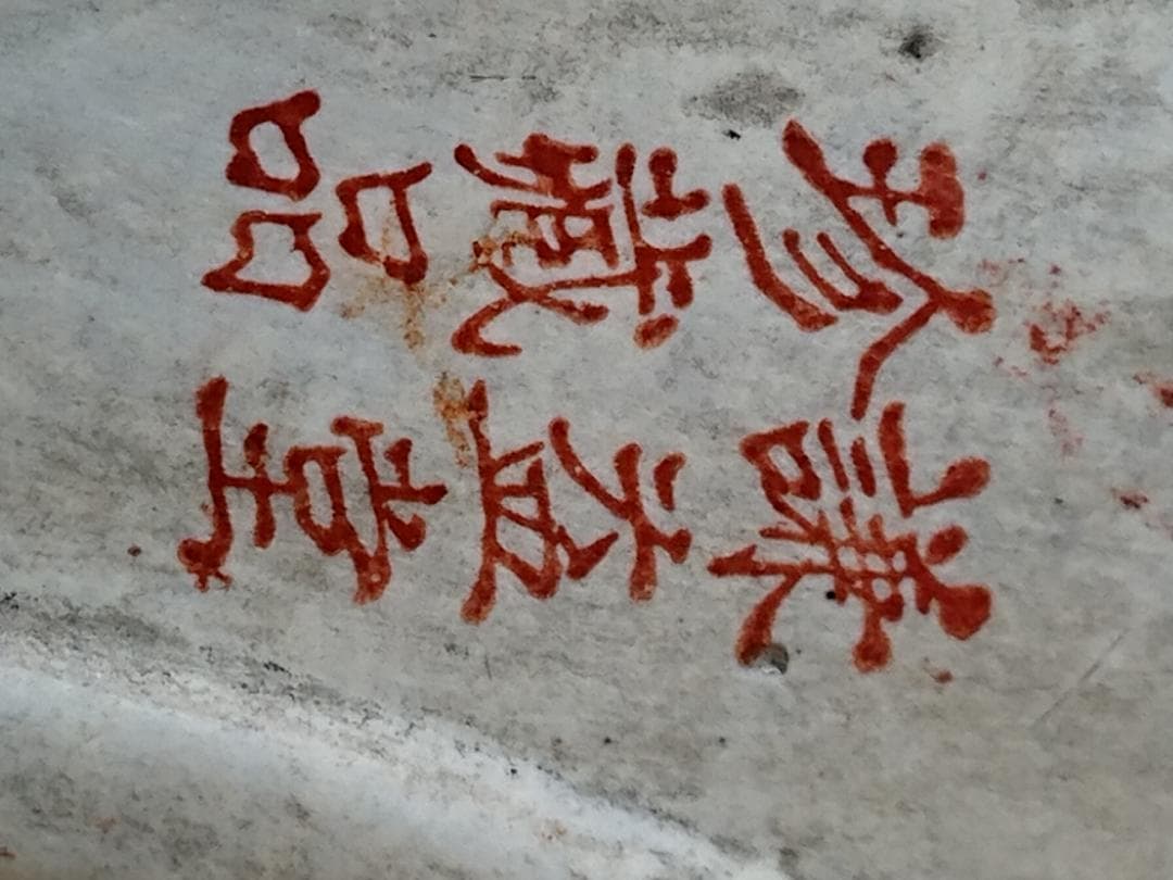 猫　陶器　色絵　花文　古玩　骨董　置物　インテリア　工芸品　美術品　A2883