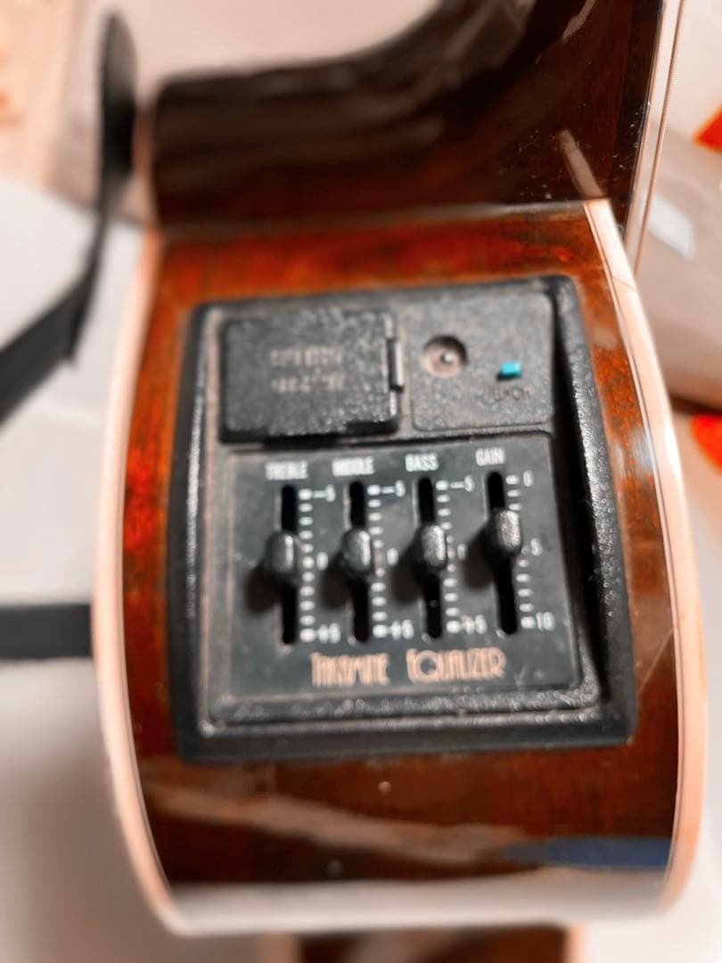 Takamine エレアコ　ギター　タカミネ純正ケース付き