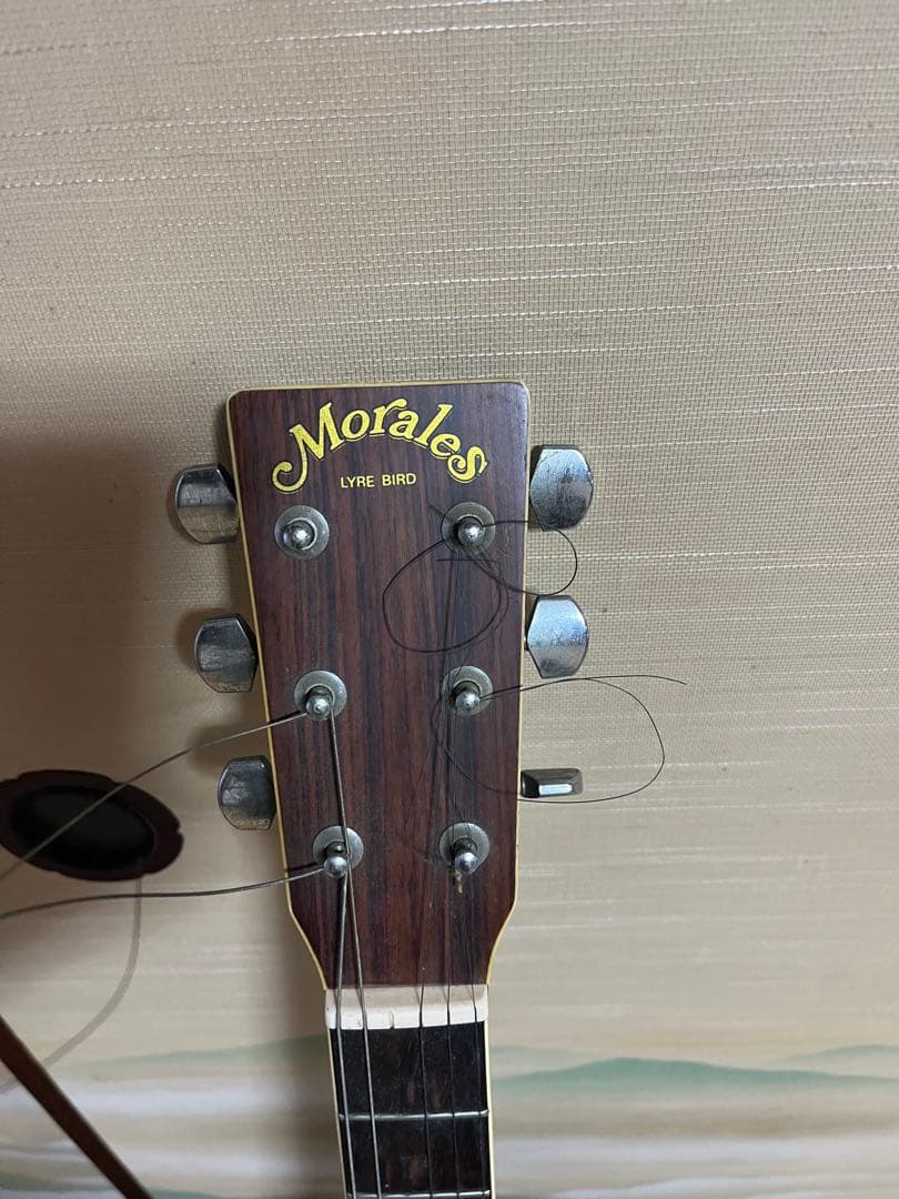 【Morales LYRE BIRD】アコースティックギター 103cm
