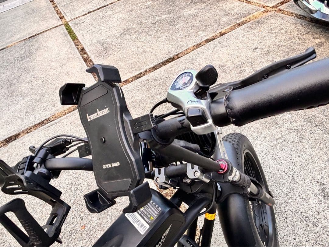 【走行50km未満・トルクセンサー搭載・カスタム有】FLOW BIKE 正規品