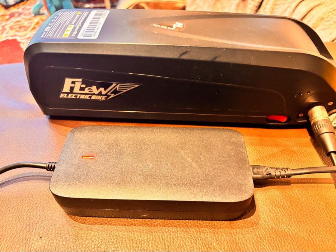 【走行50km未満・トルクセンサー搭載・カスタム有】FLOW BIKE 正規品
