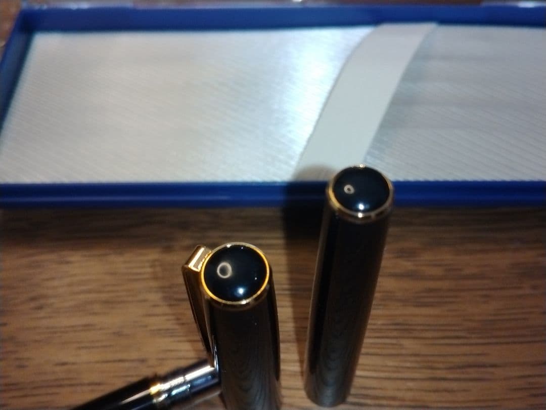 【新品未使用】廃番品 プラチナ万年筆 14K ペン先 ブラック 字幅 極細　美巧