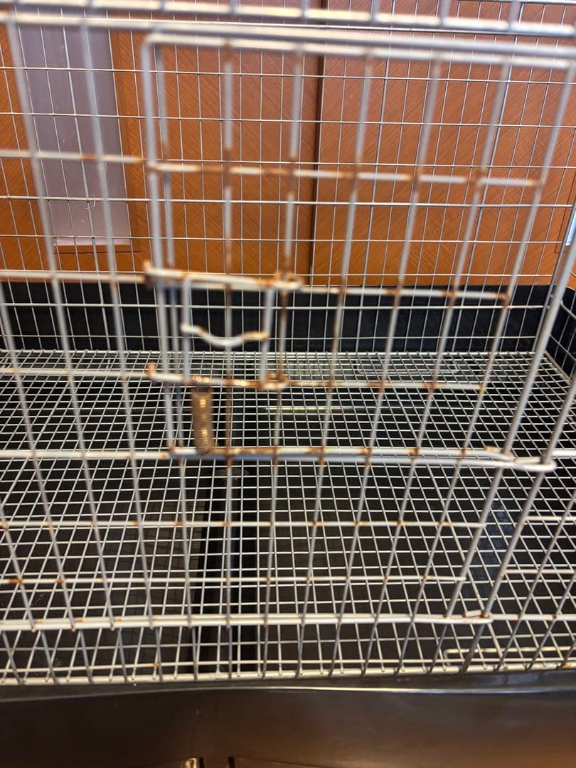 【直接引取希望】イージーホーム80ハイ・二階建て改造済・サビあり