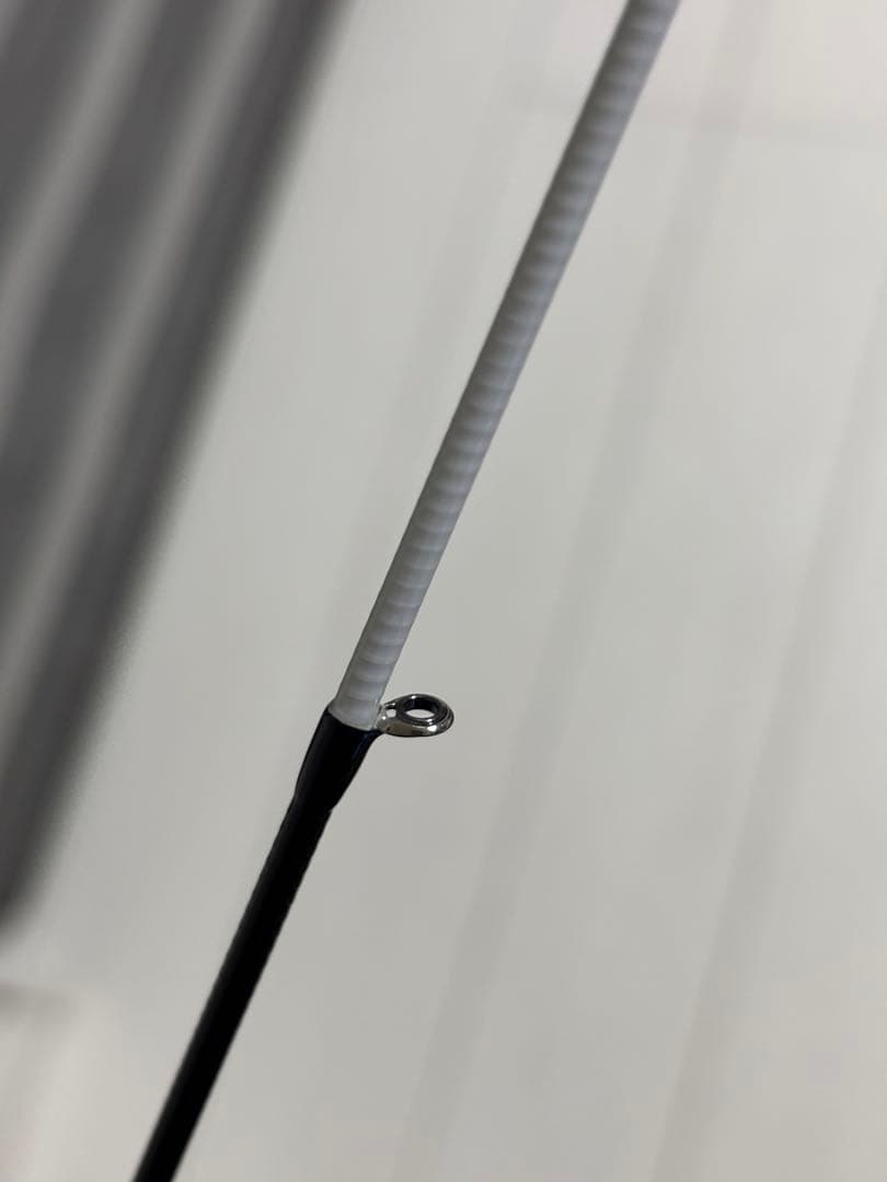 BLACK LION 75M ホワイトティップバージョン　ティップラン