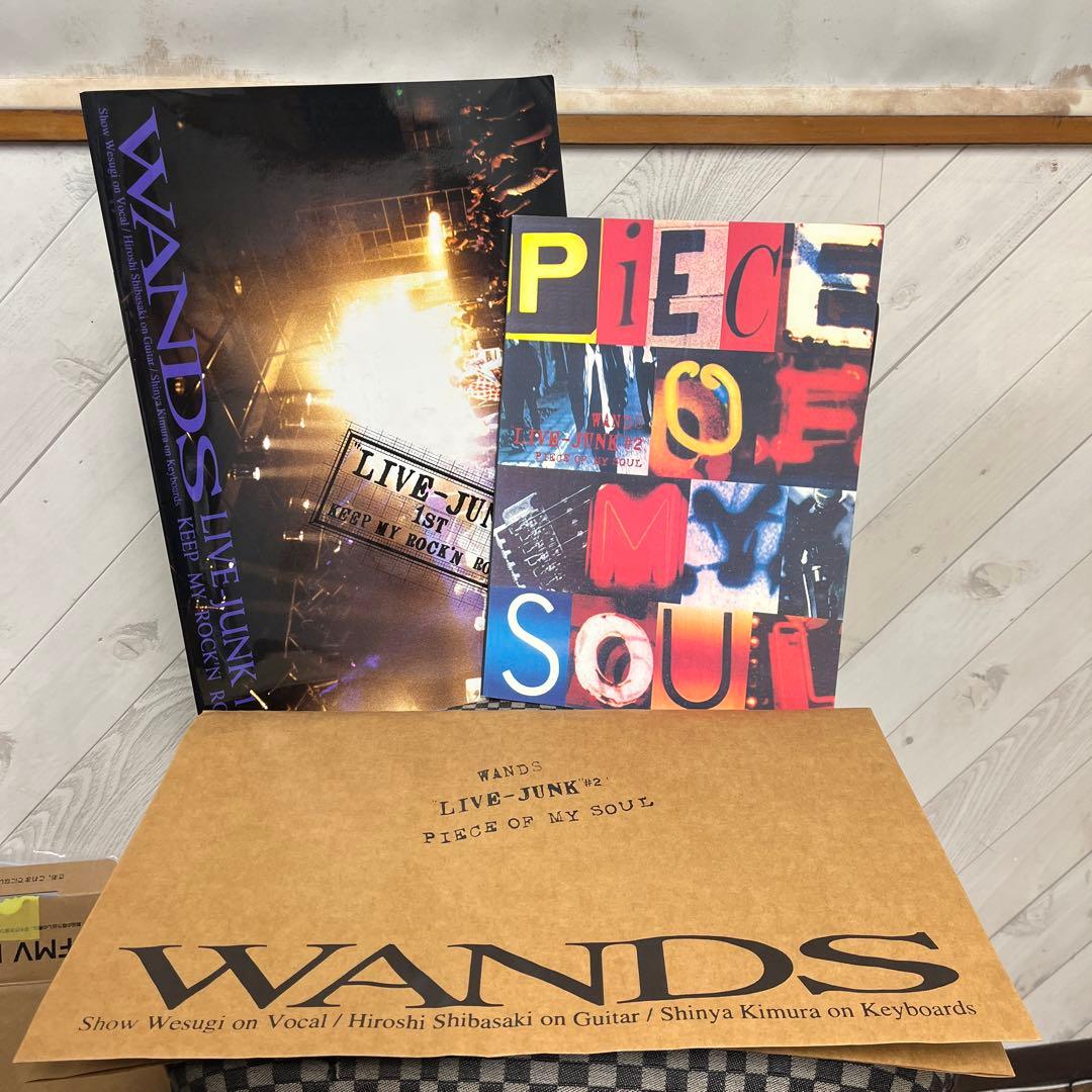 WANDS “LIVE－JUNK\
