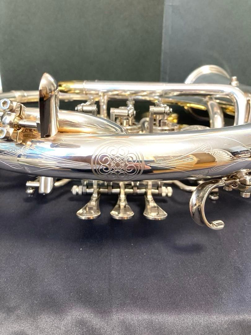 Stomvi B♭/high Fデスカントホルン<Titan>＃DH70S-TL