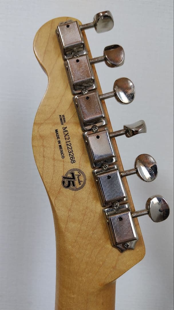 FenderメキシコテレキャスターVintera 50s ＋SparkGo付き