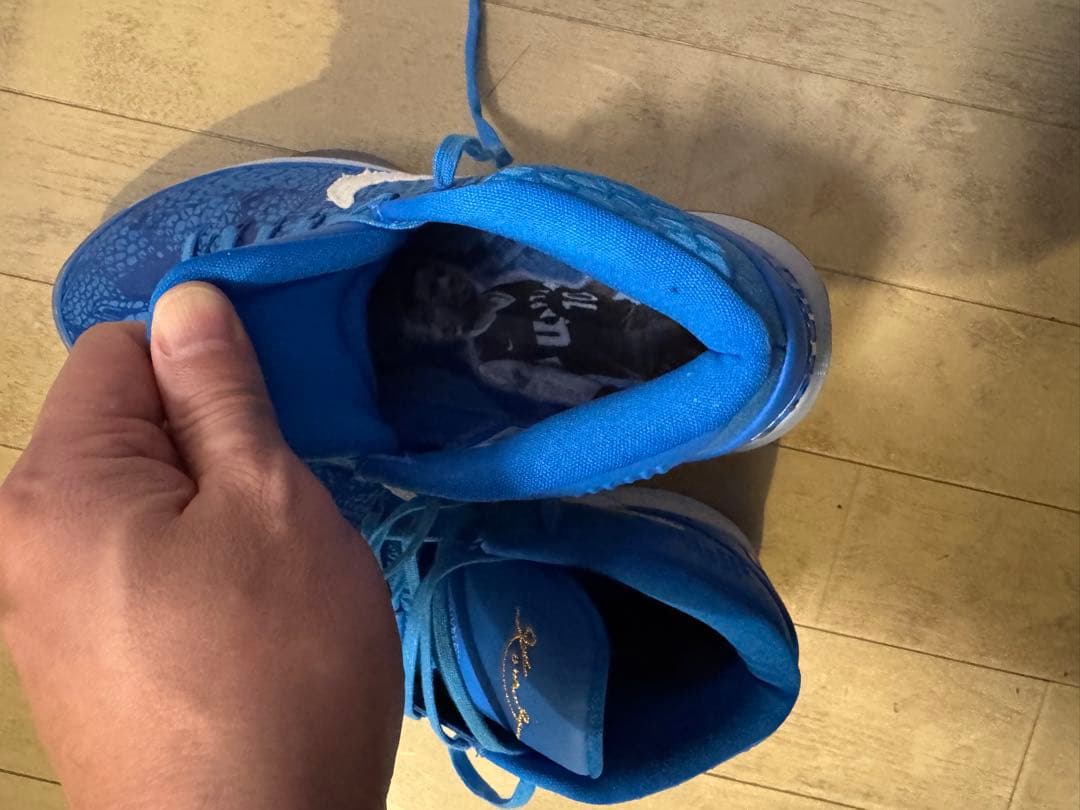 Nike KOBE AD DEROZAN PE US8.5初期モデル