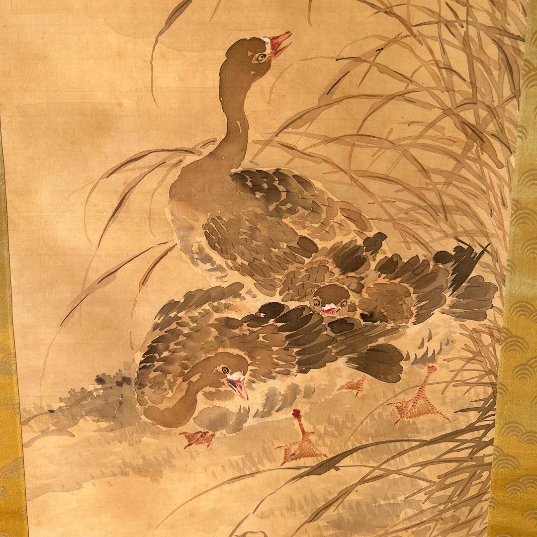 日本画掛軸　椿椿山