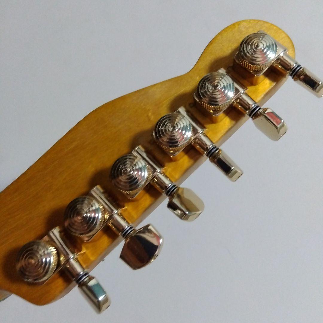 テレキャスタータイプ…渋いブラックカラー！