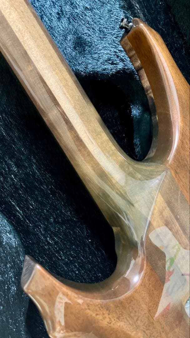 ESPエレキギター PIERROTアイジモデル(001)-560P 定価56万円