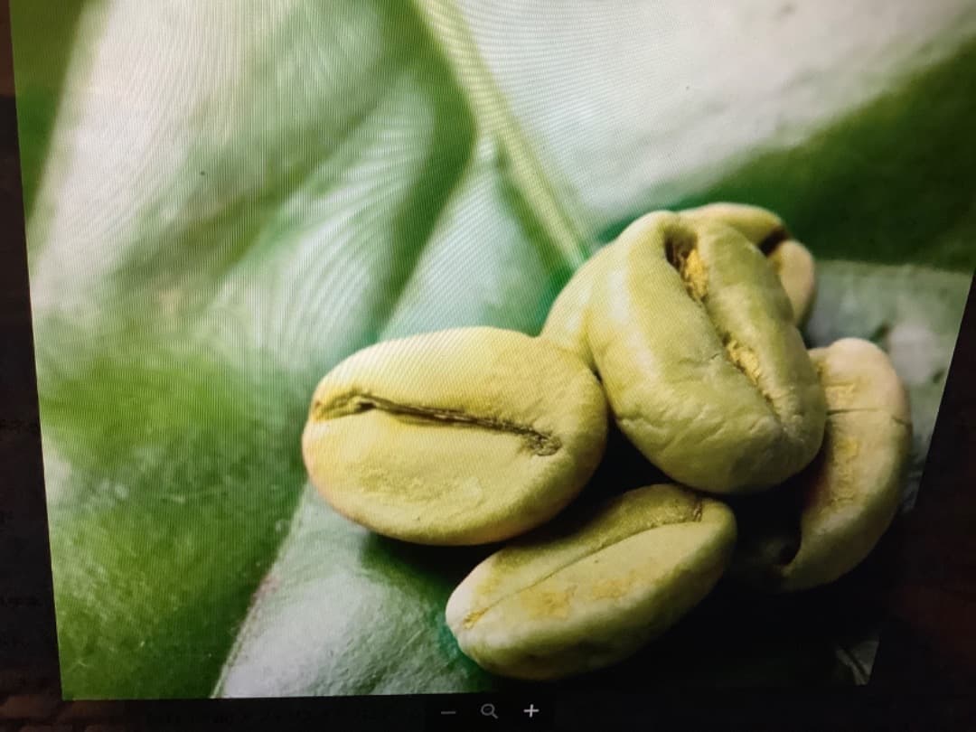 SUMA INPACT グリーンコーヒー180杯分180g お得用