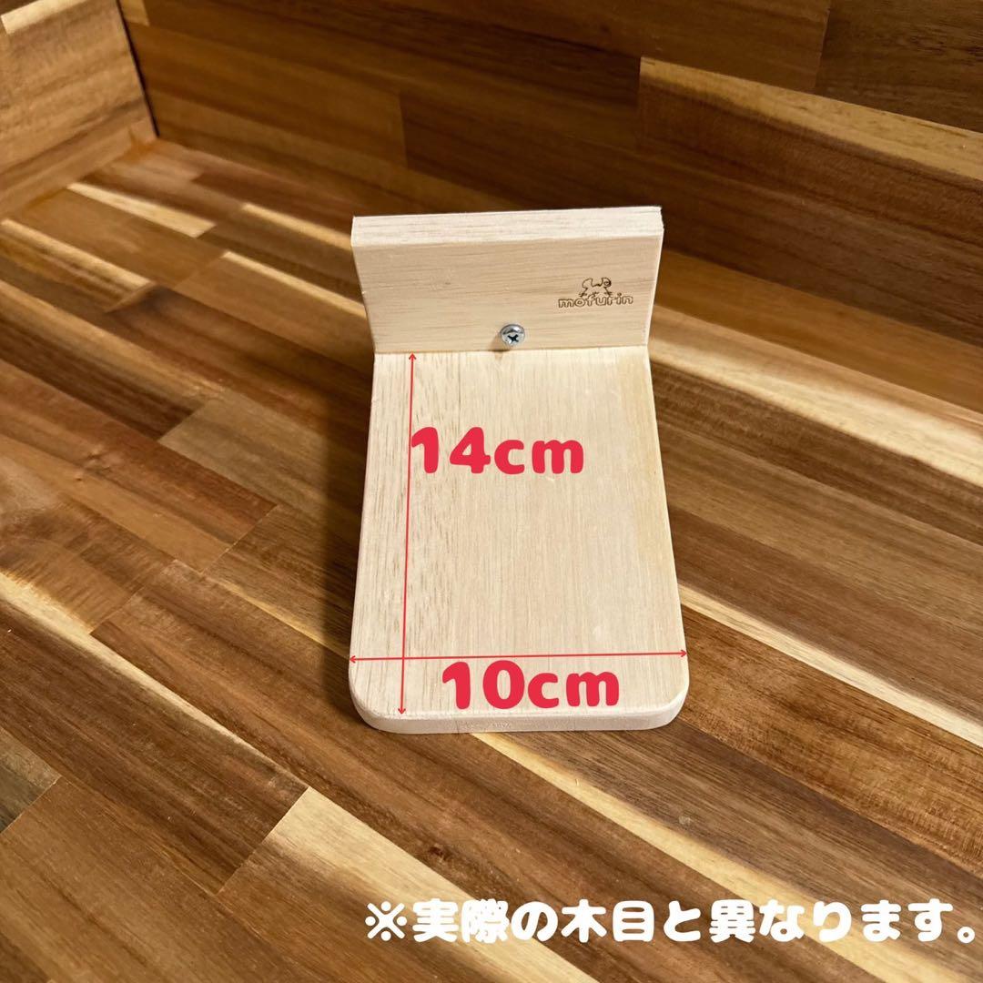 【もふりん工房】オリジナル チンチラさんお迎えスターターセット