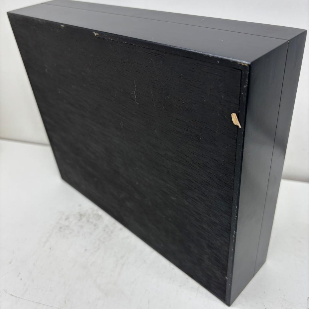 M◆ゴライアスオオツノハナムグリ　2頭　昆虫標本