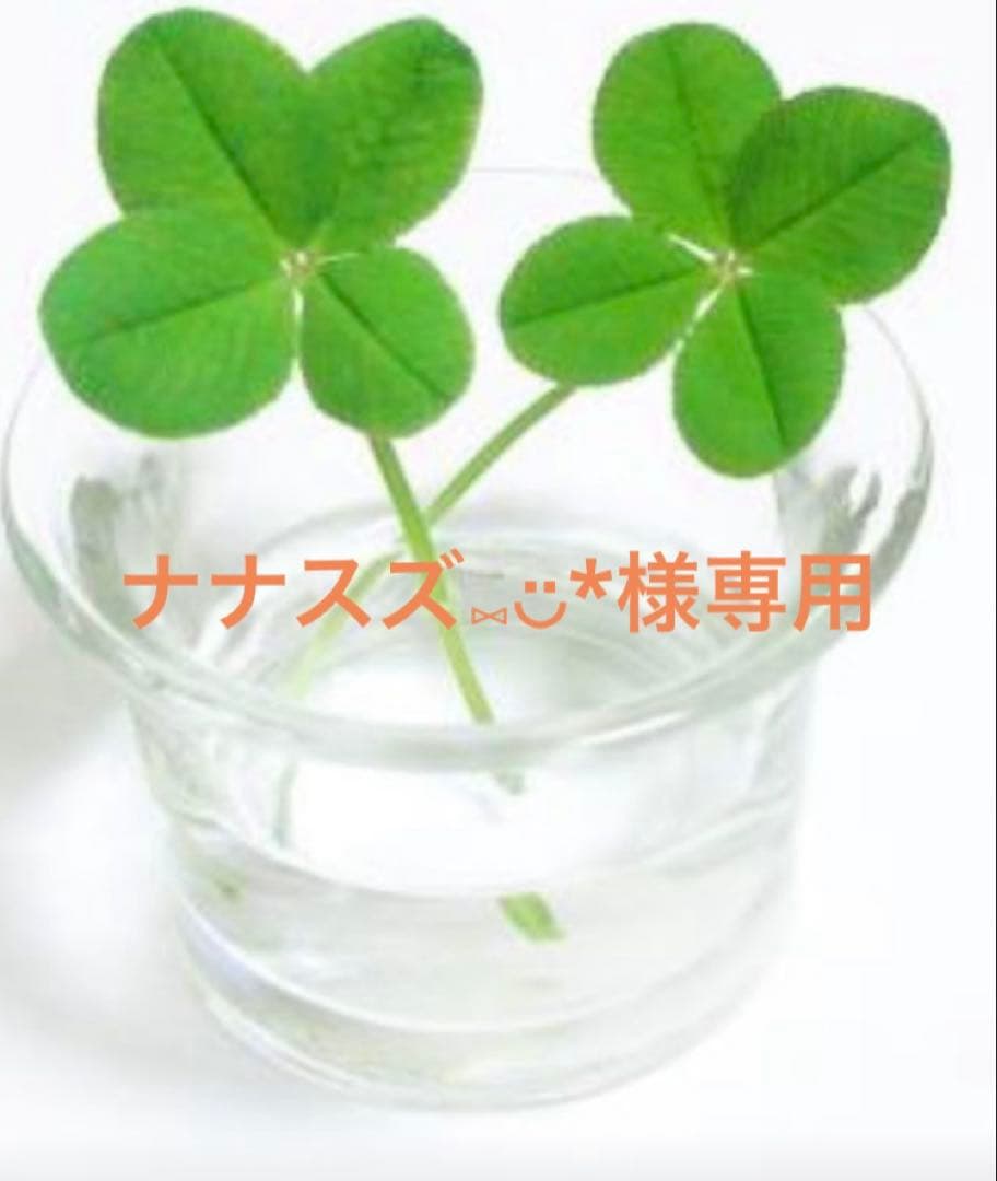 ナナスズ⑅︎◡̈︎*