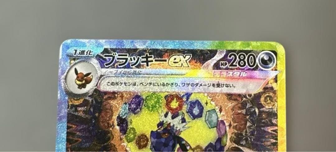 テラスタルフェスex ブイズ SAR 10枚 コンプまとめ売りセット