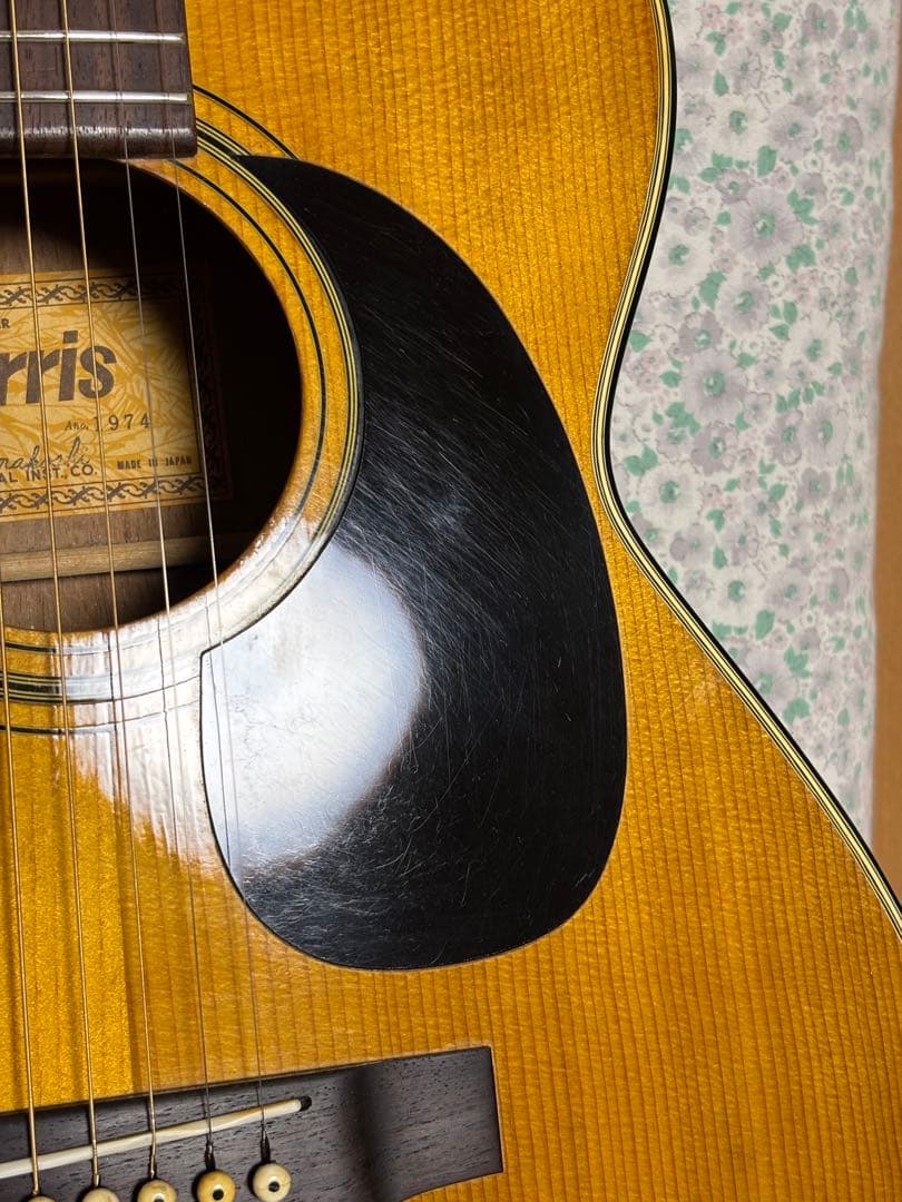 初心者、学生、女性の方に最適❗️ Morrisモーリス F-12アコギ 調整済‼️