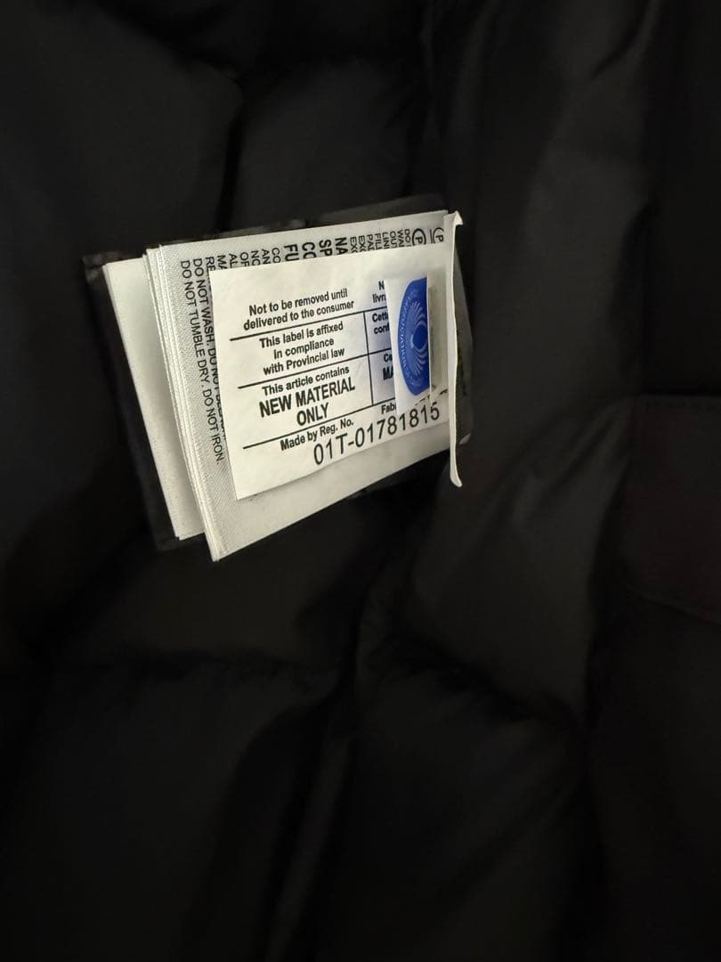 【うずら】  jasper カナダグース ジャスパー