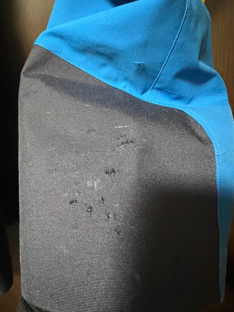 goldwin スキーウェア 青/黄