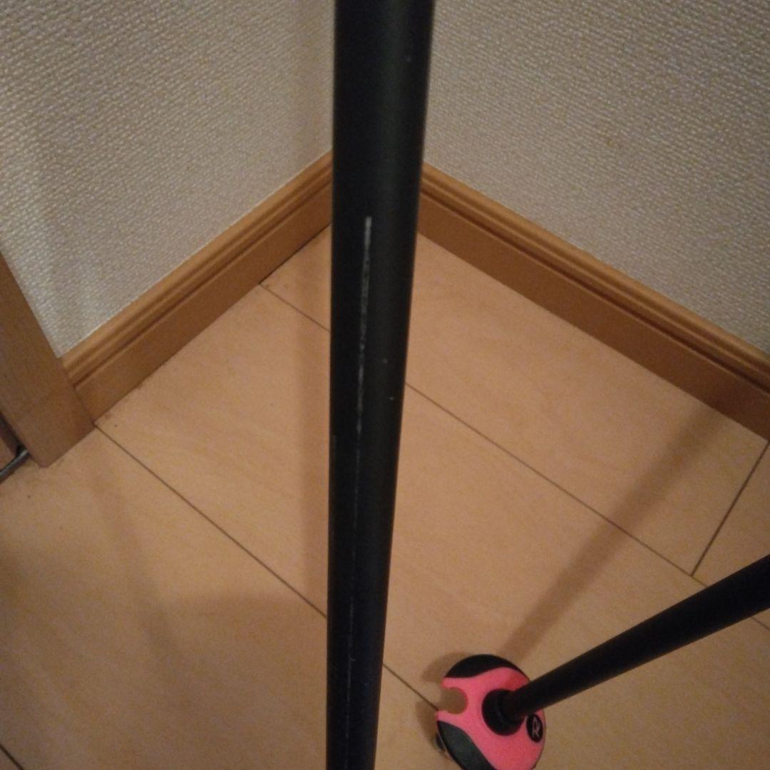Rossignol スキー用ストック ピンク青