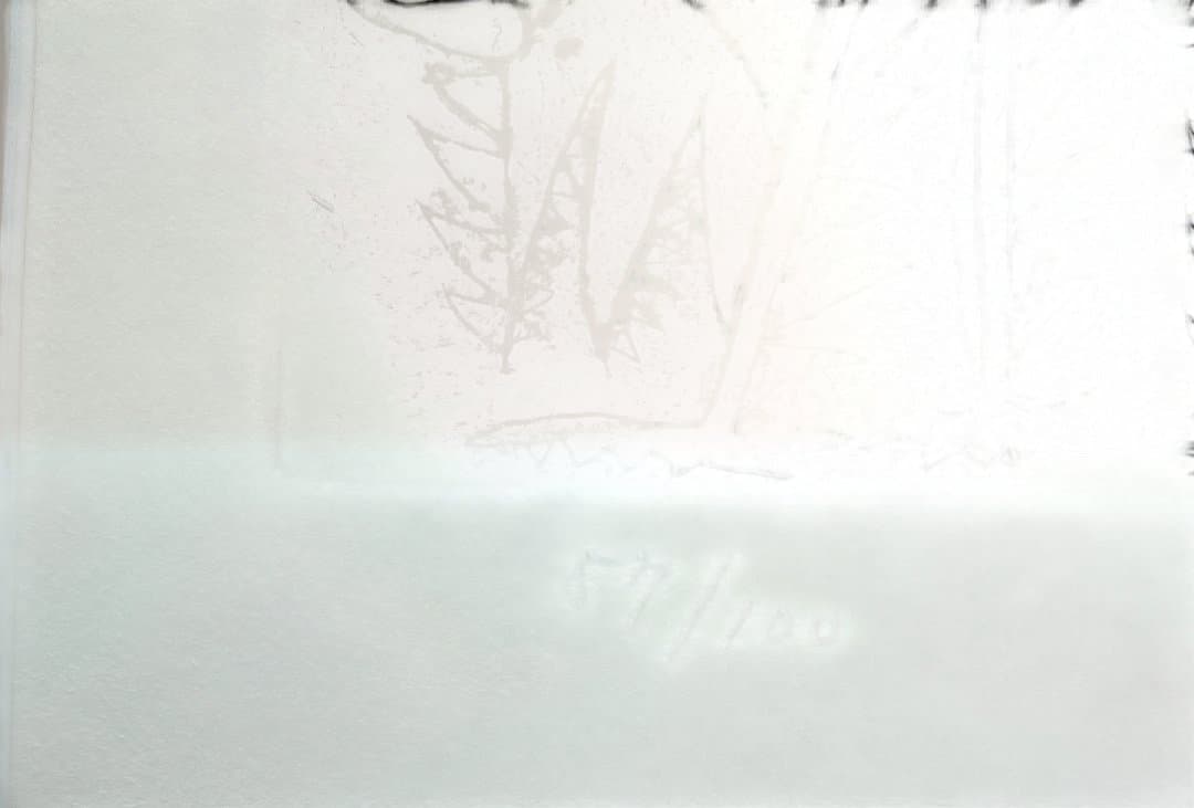 北川民次 (きたがわ たみじ) バッタ 銅版画 57/100