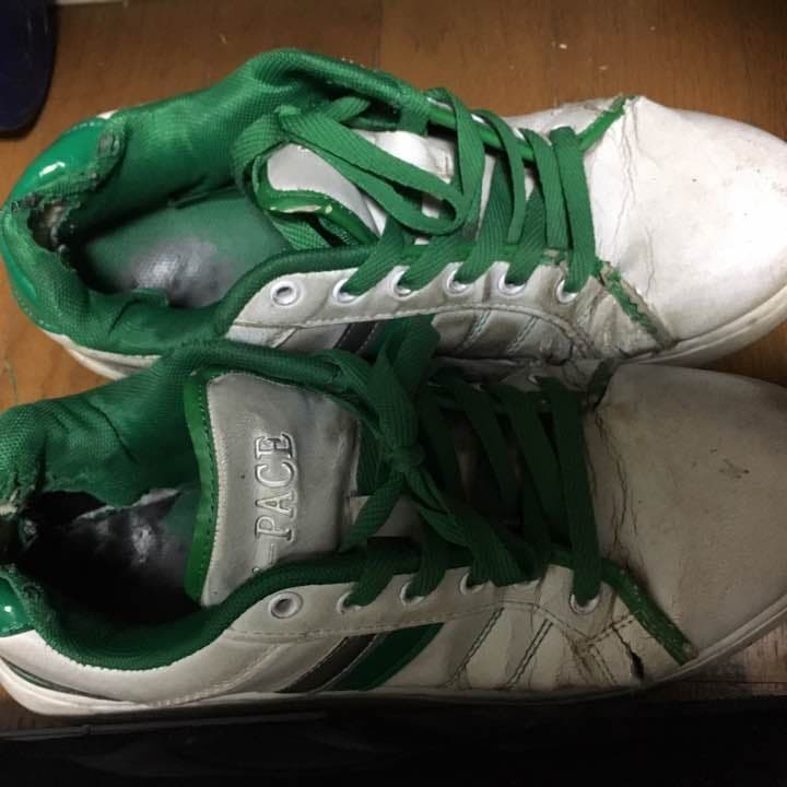 靴（歩いて日本横断済み）