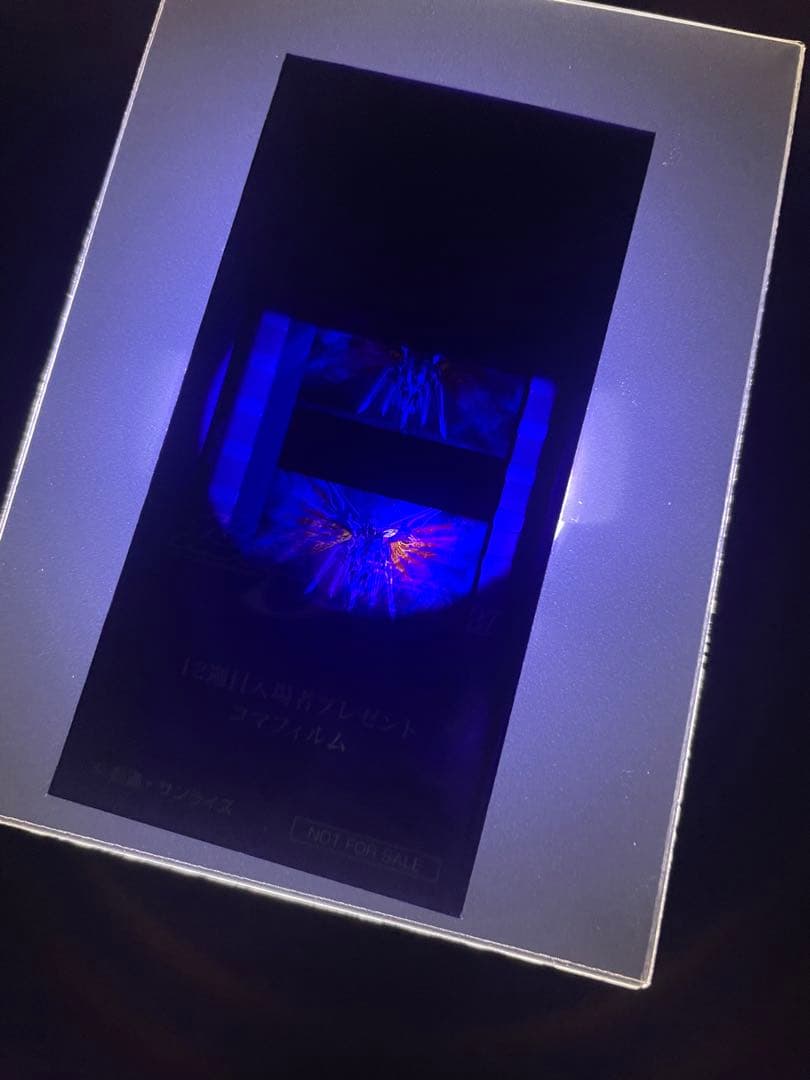 コマフィルム　SEED ガンダム　完全未開封