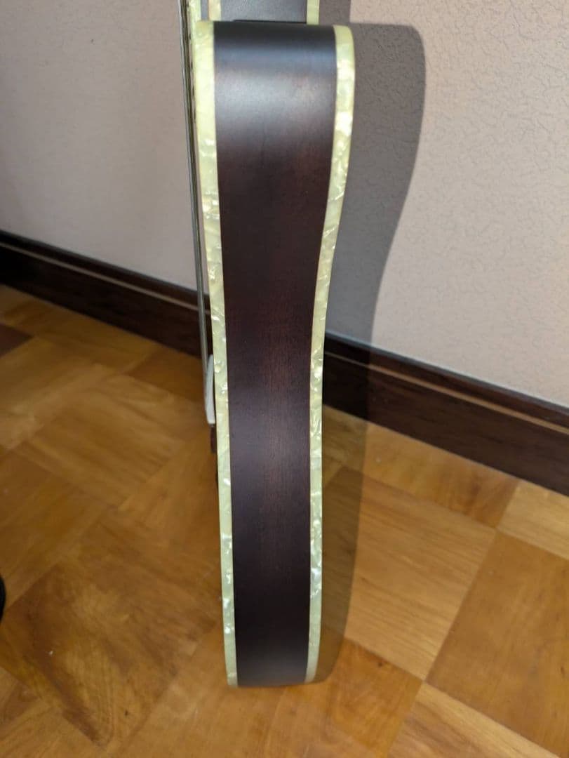 ギター ibanez TOD10N