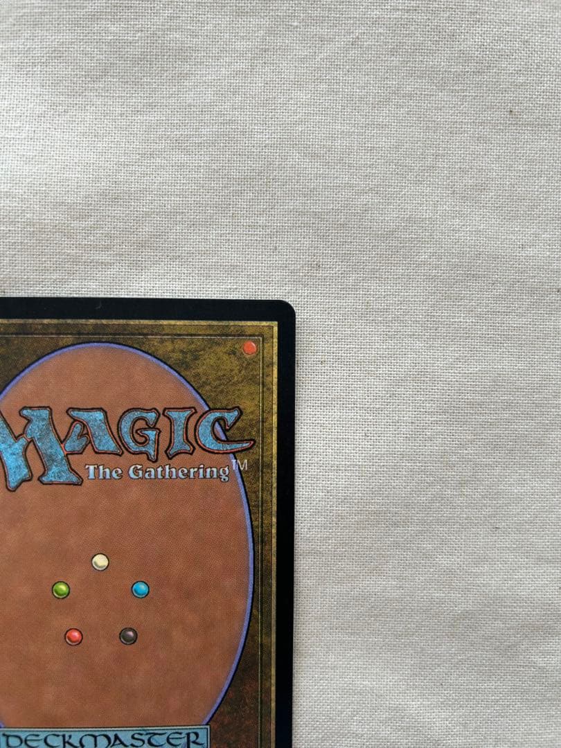 大地の知識　MTG