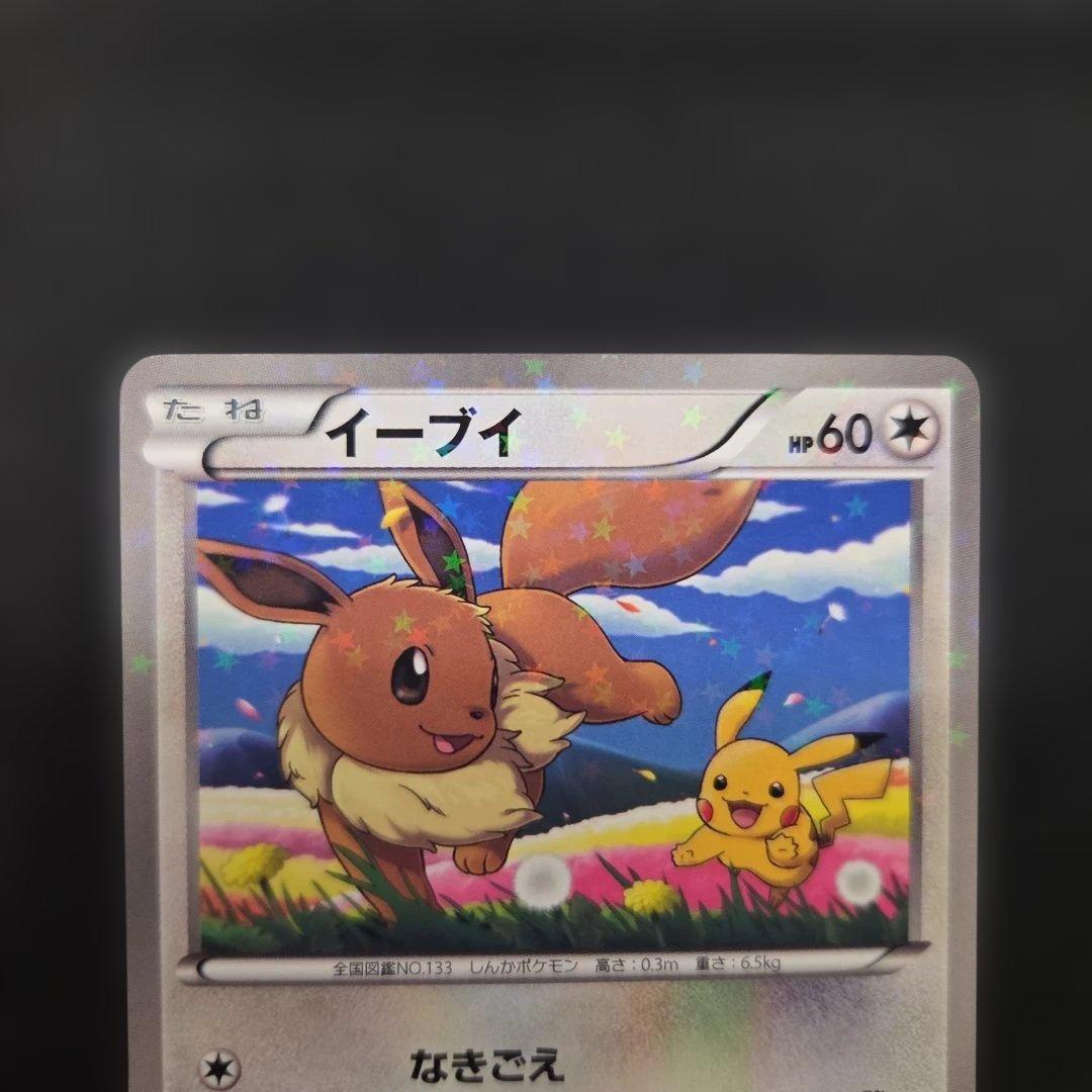 【状態◎】イーブイ PROMO BW-Pプロモカード 235/BW-P