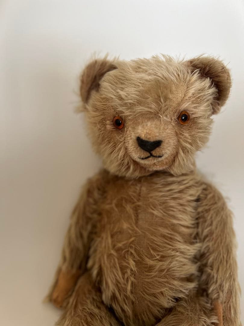 12/29日までチワワです