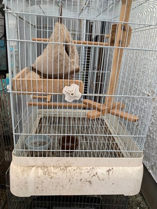 爬虫類、小動物 ケージ