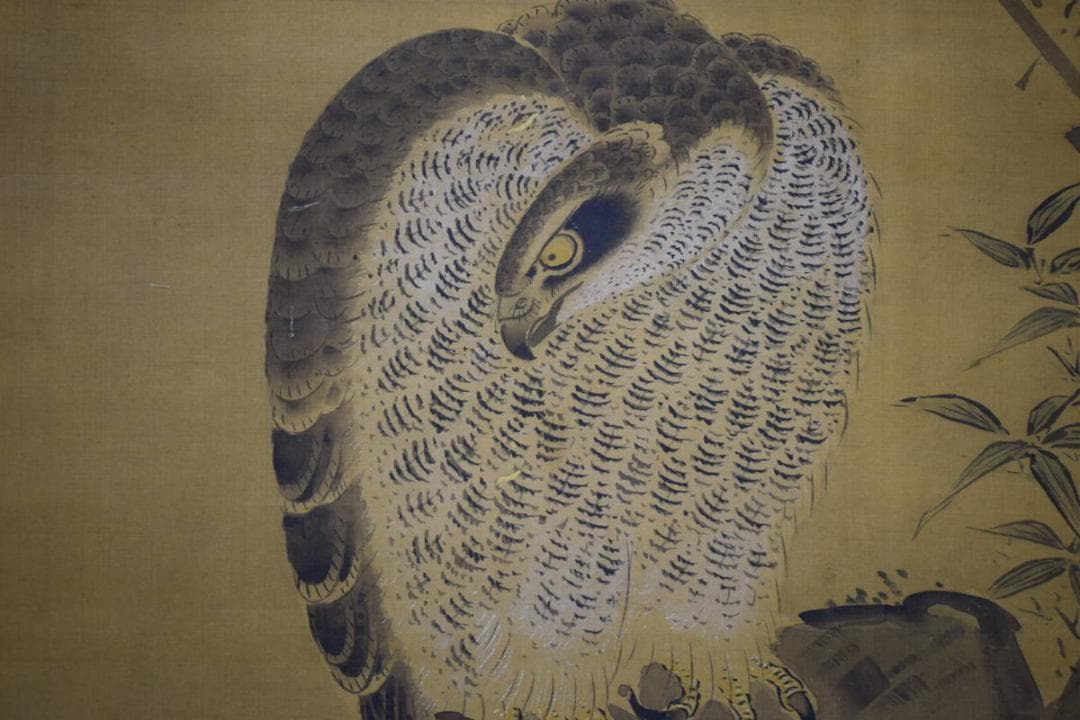 不詳/作者不詳/古画/鷹図/布袋屋掛軸HG-124