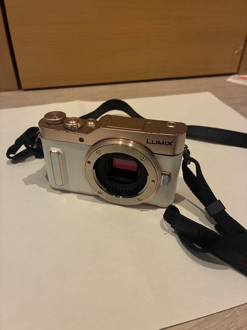 Panasonic LUMIX ミラーレス一眼カメラ DC-GF10W