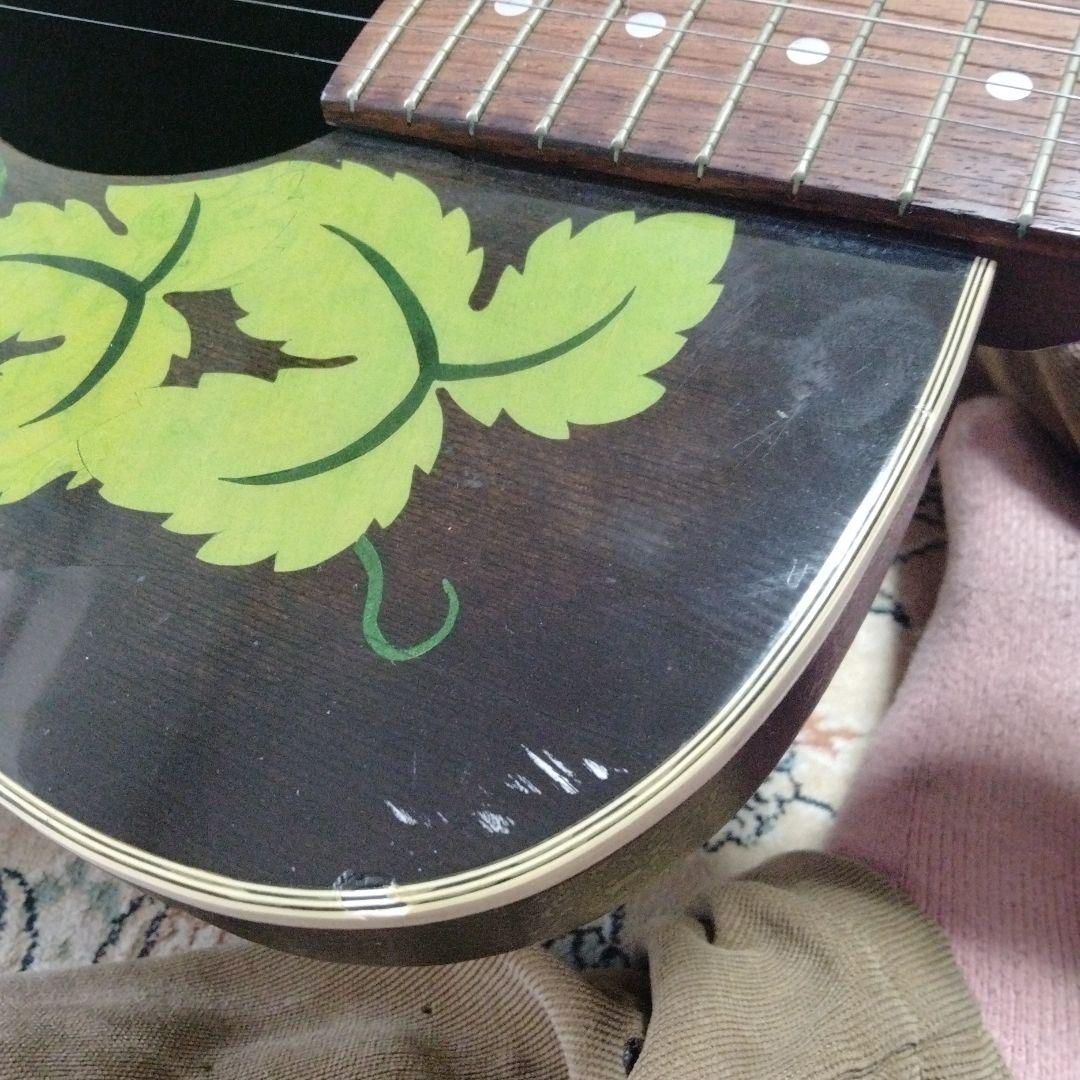 CUE エレアコギター Drexel Sterfield