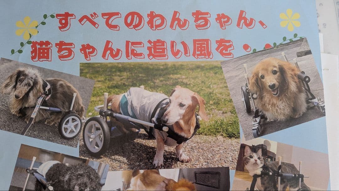 小型犬用4輪歩行機