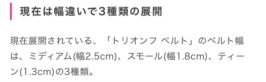 a*m様 CELINE セリーヌ トリオンフ ベルト ブラック　85