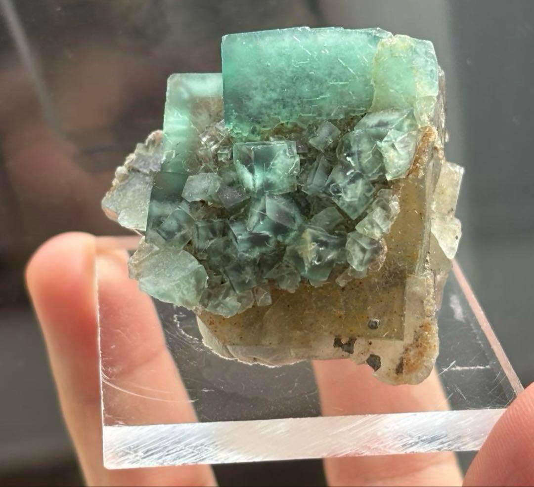 k*g様 レディアナベラ　toxic apple pocket フローライト　レ