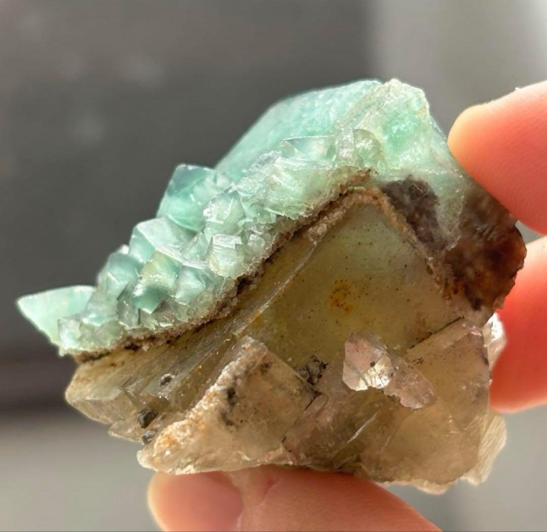 k*g様 レディアナベラ　toxic apple pocket フローライト　レ