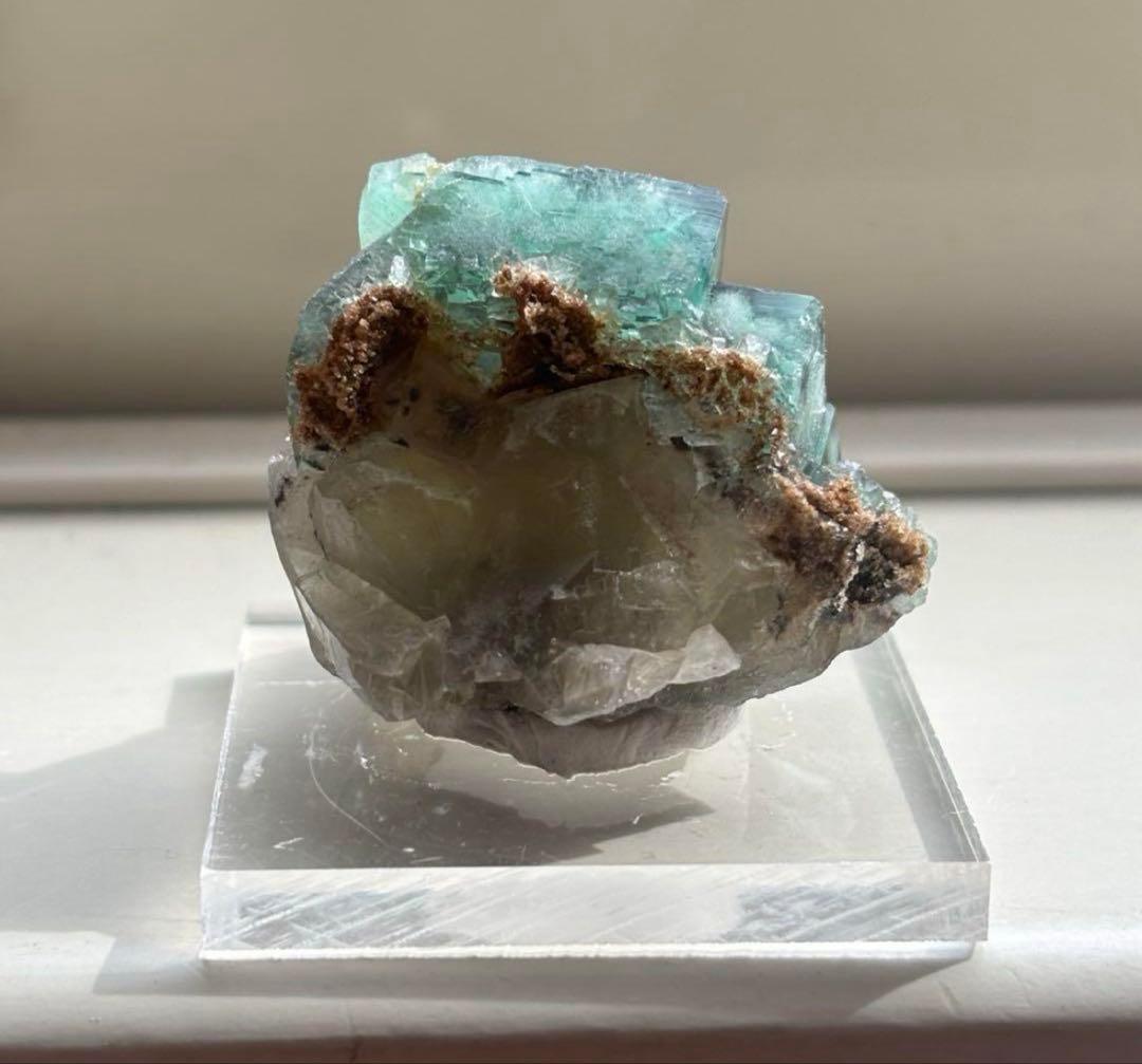 k*g様 レディアナベラ　toxic apple pocket フローライト　レ