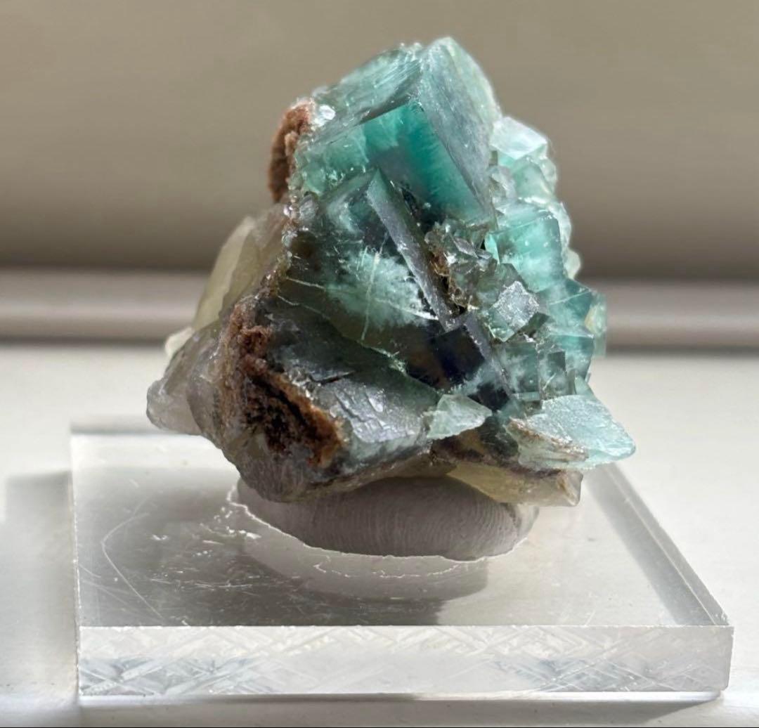 k*g様 レディアナベラ　toxic apple pocket フローライト　レ