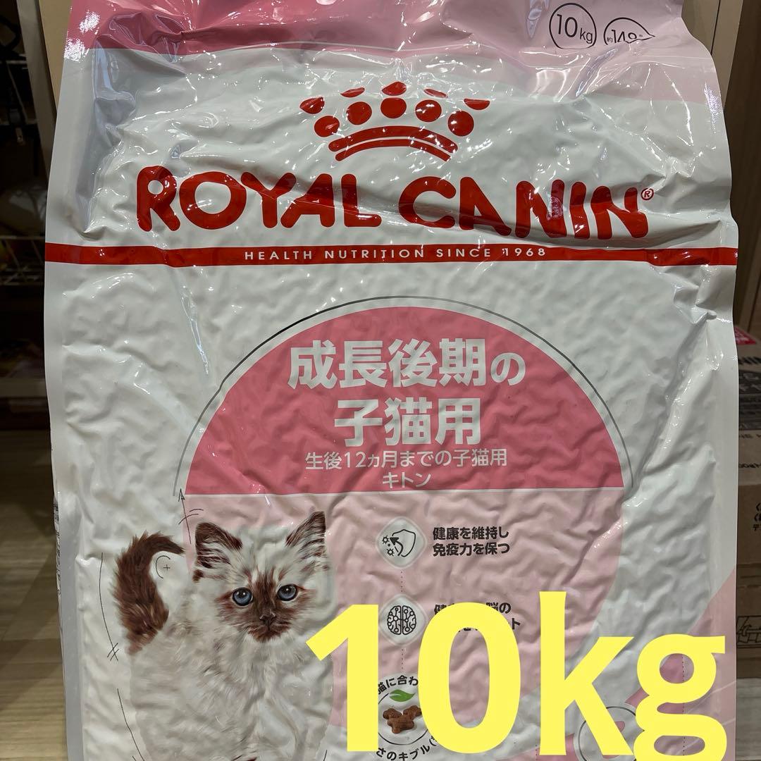  CANIN 成長後期の子猫用 10kg