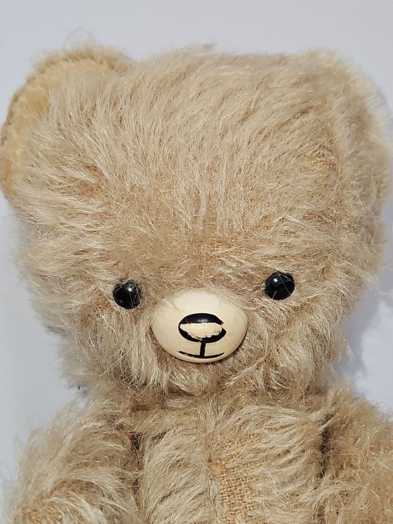 レア！ DDRベア テディベア 小ぶりなモフモフっ子 ʕ•ᴥ•ʔ