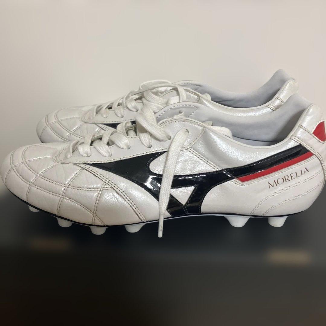 【モレリア2 JAPAN】クロスステッチ 25.5cm