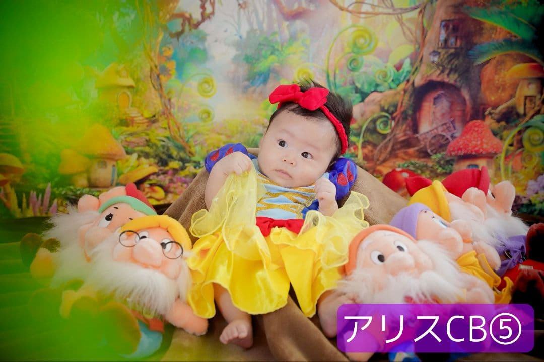 業務用フェルトトリミングチョーカー+背景布　ハロウィン　クリスマス　撮影用ブース