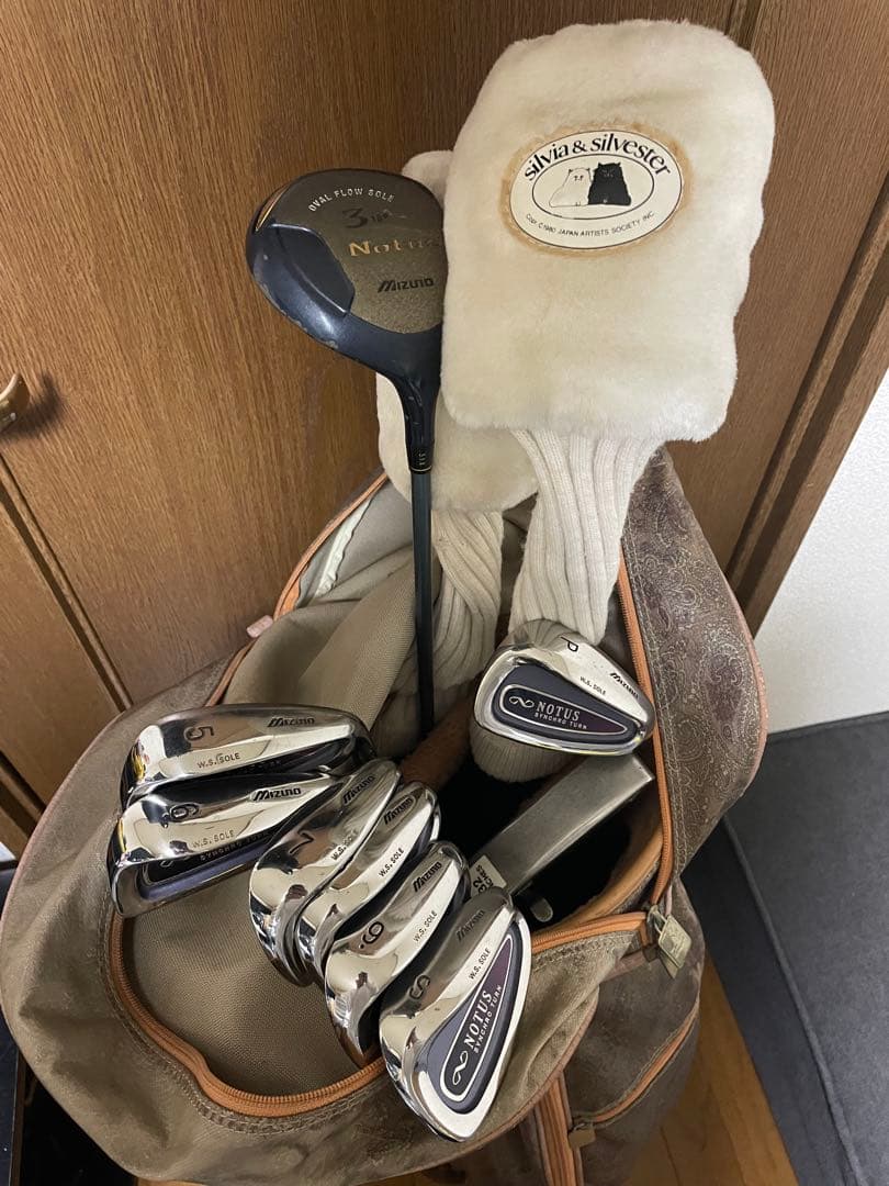 ゴルフ　クラブセット　レディース　ミズノ