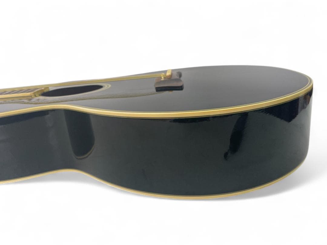 タカミネ　Takamine エレアコ NPT-110　ケース付き　07c03