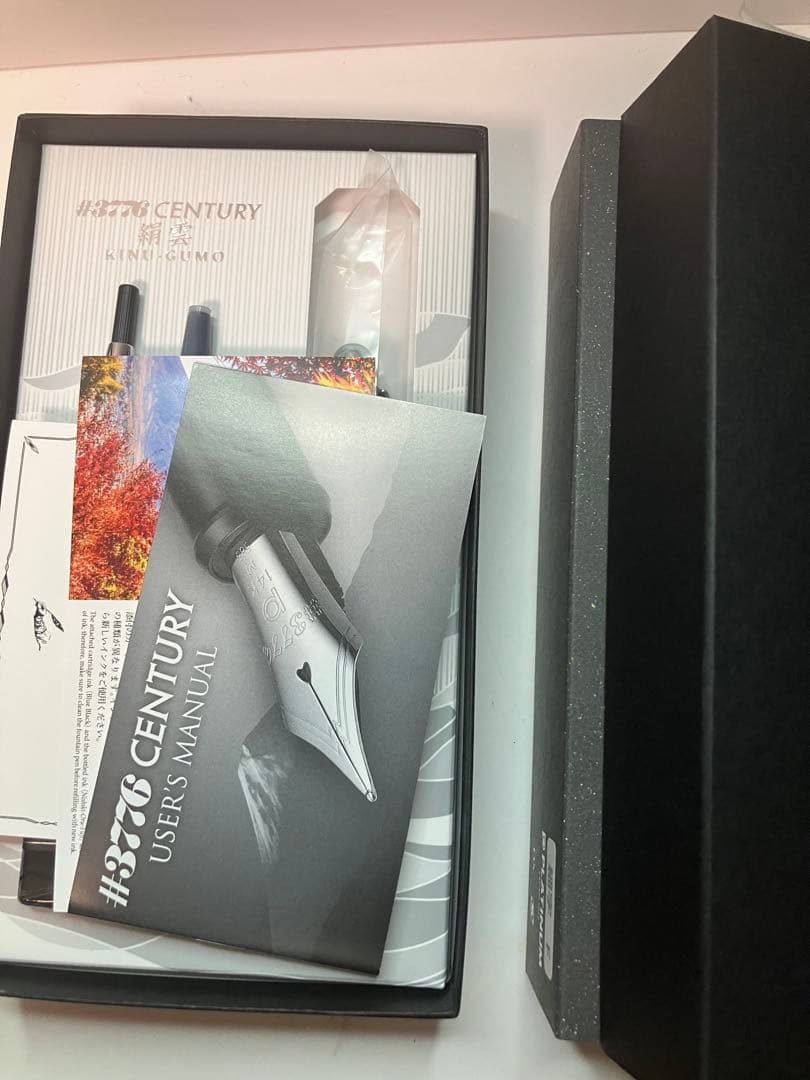 PLATINUM　#3776　プラチナ万年筆　富士雲景　「絹雲」　字幅F